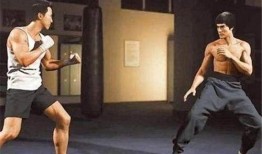 甄子丹爆料武术视频大全,揭秘动作巨星幕后练功秘籍