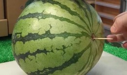 潍坊吃瓜爆料事件视频,视频揭露惊人内幕