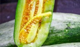 网红吃瓜赵露丝,网红吃瓜界的风云人物